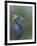 Tricolour Egret-Michael Jackson-Framed Giclee Print