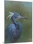 Tricolour Egret-Michael Jackson-Mounted Giclee Print