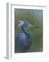 Tricolour Egret-Michael Jackson-Framed Premium Giclee Print