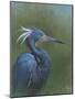 Tricolour Egret-Michael Jackson-Mounted Premium Giclee Print