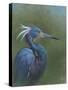 Tricolour Egret-Michael Jackson-Stretched Canvas