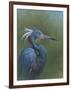 Tricolour Egret-Michael Jackson-Framed Giclee Print