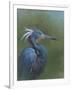 Tricolour Egret-Michael Jackson-Framed Giclee Print