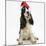 Tricolour English Cocker Spaniel, 7 Months Old, Wearing a Father Christmas Hat-Mark Taylor-Mounted Photographic Print