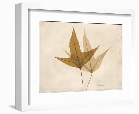 Trident Maple Moments-Albert Koetsier-Framed Art Print