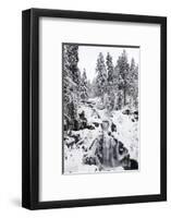 Trieberg waterfalls in winter, Black Forest, Baden-Wurttemberg, Germany-Markus Lange-Framed Photographic Print