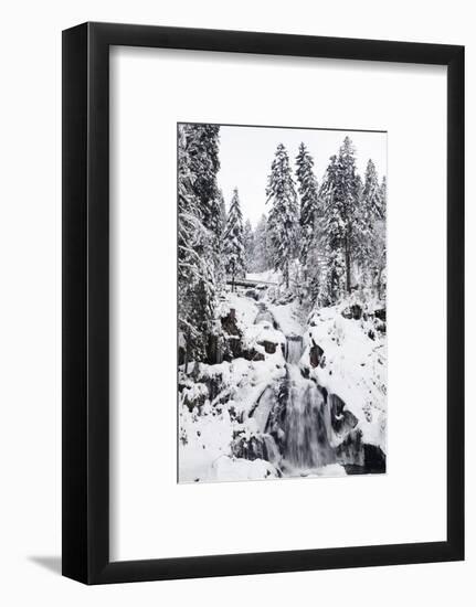 Trieberg waterfalls in winter, Black Forest, Baden-Wurttemberg, Germany-Markus Lange-Framed Photographic Print