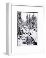 Trieberg waterfalls in winter, Black Forest, Baden-Wurttemberg, Germany-Markus Lange-Framed Photographic Print