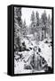 Trieberg waterfalls in winter, Black Forest, Baden-Wurttemberg, Germany-Markus Lange-Framed Stretched Canvas