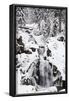 Trieberg waterfalls in winter, Black Forest, Baden-Wurttemberg, Germany-Markus Lange-Framed Photographic Print