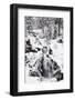 Trieberg waterfalls in winter, Black Forest, Baden-Wurttemberg, Germany-Markus Lange-Framed Photographic Print