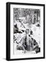 Trieberg waterfalls in winter, Black Forest, Baden-Wurttemberg, Germany-Markus Lange-Framed Photographic Print