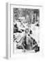 Trieberg waterfalls in winter, Black Forest, Baden-Wurttemberg, Germany-Markus Lange-Framed Photographic Print