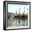 Trieste (Italy), the Port Seen from St, Charles' Jetty, Circa 18905-Leon, Levy et Fils-Framed Photographic Print