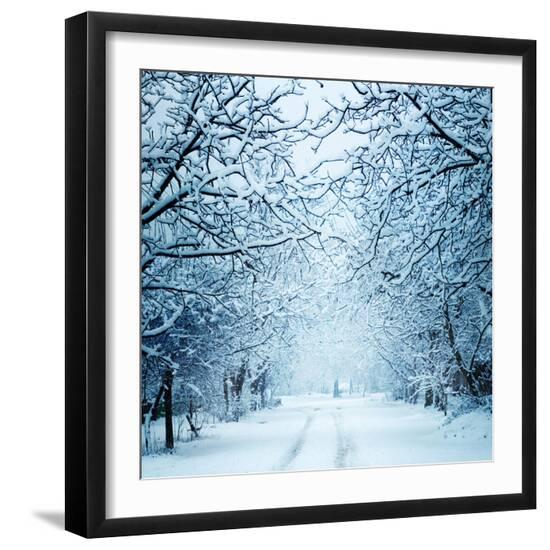 Premium Photographic Print, , large