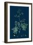 Trifolium Suffocatum; Dense-Flowered Trefoil-null-Framed Giclee Print