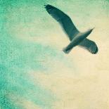 Close-Up of a Gull Flying in a Texturized Sky-Trigger Image-Framed Photographic Print