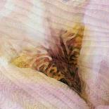 Folds of Fabric with an Iris-Trigger Image-Photographic Print