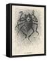 Trilby an Incubus-George Du Maurier-Framed Stretched Canvas