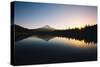 Trillium Daybreak Mount Hood Wilderness Oregon-Vincent James-Stretched Canvas