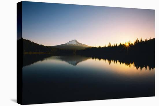 Trillium Daybreak Mount Hood Wilderness Oregon-Vincent James-Stretched Canvas