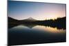 Trillium Daybreak Mount Hood Wilderness Oregon-Vincent James-Mounted Photographic Print