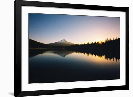 Trillium Daybreak Mount Hood Wilderness Oregon-Vincent James-Framed Photographic Print
