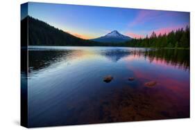 Trillium Fever, Mount Hood, Oregon-Vincent James-Stretched Canvas