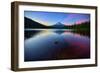 Trillium Fever, Mount Hood, Oregon-Vincent James-Framed Photographic Print