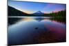 Trillium Fever, Mount Hood, Oregon-Vincent James-Mounted Photographic Print