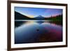 Trillium Fever, Mount Hood, Oregon-Vincent James-Framed Photographic Print