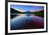 Trillium Fever, Mount Hood, Oregon-Vincent James-Framed Photographic Print