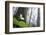 Trillium, Lady Bird Johnson Grove, Prairie Creek Redwoods, California-Rob Sheppard-Framed Photographic Print