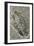 Trilobite Fossil-Alan Sirulnikoff-Framed Photographic Print