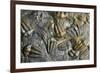 Trilobite Fossils-Sinclair Stammers-Framed Photographic Print