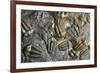 Trilobite Fossils-Sinclair Stammers-Framed Photographic Print