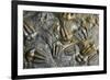 Trilobite Fossils-Sinclair Stammers-Framed Photographic Print