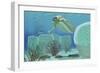 Trilobites Try to Hide from Predator Opabinia-Stocktrek Images-Framed Premium Giclee Print