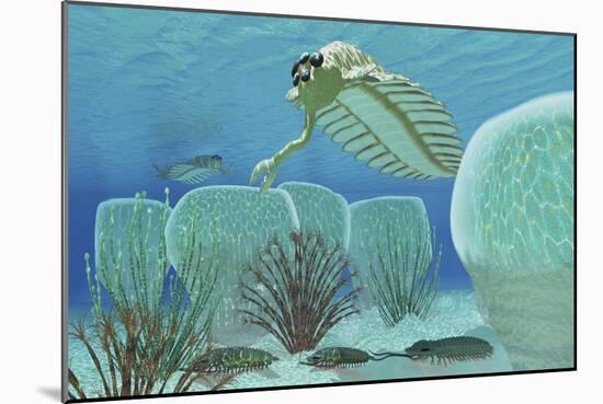 Trilobites Try to Hide from Predator Opabinia-Stocktrek Images-Mounted Art Print