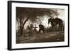 Trilogy-Barry Hart-Framed Art Print