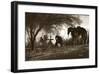 Trilogy-Barry Hart-Framed Giclee Print