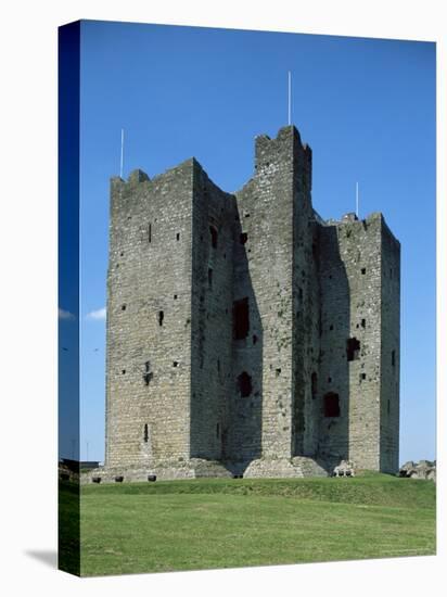 Trim Castle, Dating from the 12th Century, and Location for Film Braveheart, Leinster-Nedra Westwater-Stretched Canvas