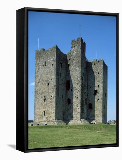 Trim Castle, Dating from the 12th Century, and Location for Film Braveheart, Leinster-Nedra Westwater-Framed Stretched Canvas