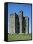 Trim Castle, Dating from the 12th Century, and Location for Film Braveheart, Leinster-Nedra Westwater-Framed Stretched Canvas