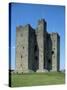 Trim Castle, Dating from the 12th Century, and Location for Film Braveheart, Leinster-Nedra Westwater-Stretched Canvas