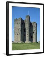 Trim Castle, Dating from the 12th Century, and Location for Film Braveheart, Leinster-Nedra Westwater-Framed Photographic Print