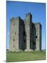 Trim Castle, Dating from the 12th Century, and Location for Film Braveheart, Leinster-Nedra Westwater-Mounted Photographic Print