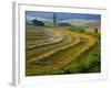 Trimmed Fields-Jim Craigmyle-Framed Photographic Print