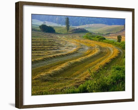 Trimmed Fields-Jim Craigmyle-Framed Photographic Print