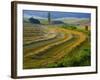 Trimmed Fields-Jim Craigmyle-Framed Photographic Print